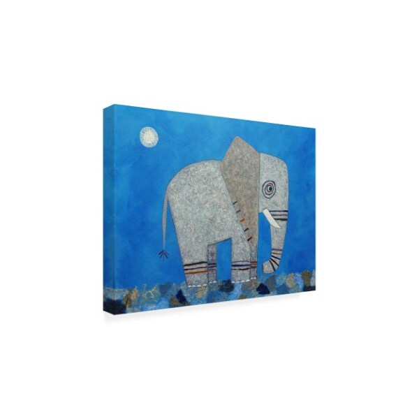 Casey Craig 'Everything Else Is Irrelephant' Canvas Art,14x19